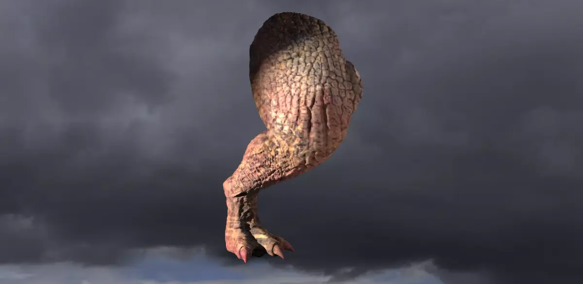 Dragon leg  Red Fin 3D model