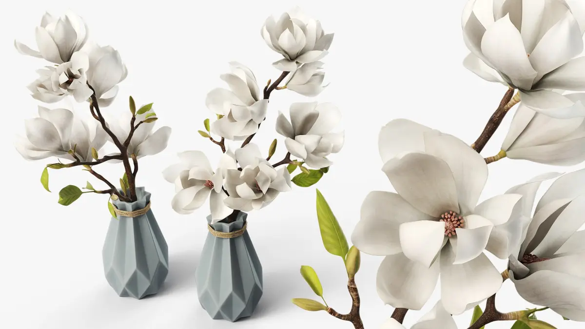 Magnolia Flower Branch in Faceted Vase White 3D model