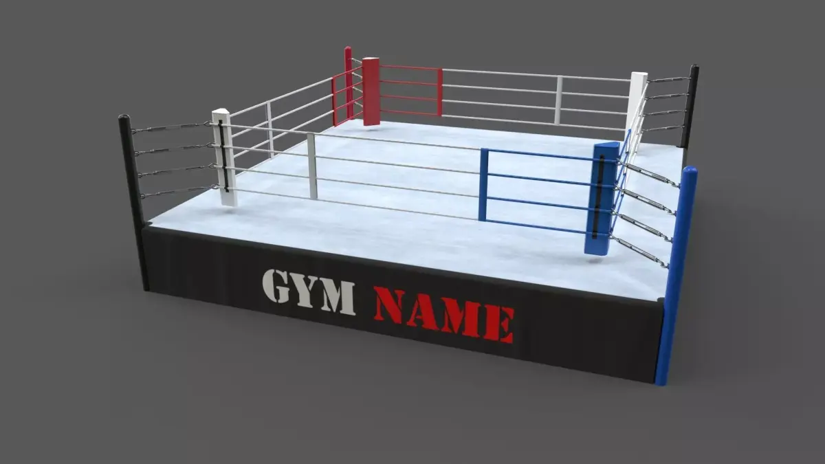 PBR Modular Professional Boxing Rings 18ftx18ft Low-poly 3D model