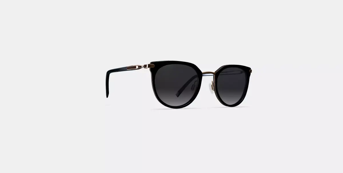 Whittier Sunglasses in Jet Black with Polished Gold 3D model purchase