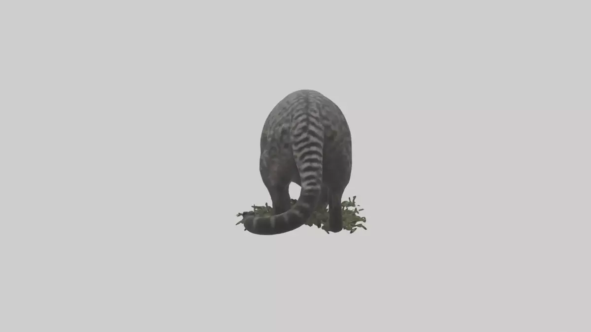 Malayan Civet sneaking model Low-poly 3D model