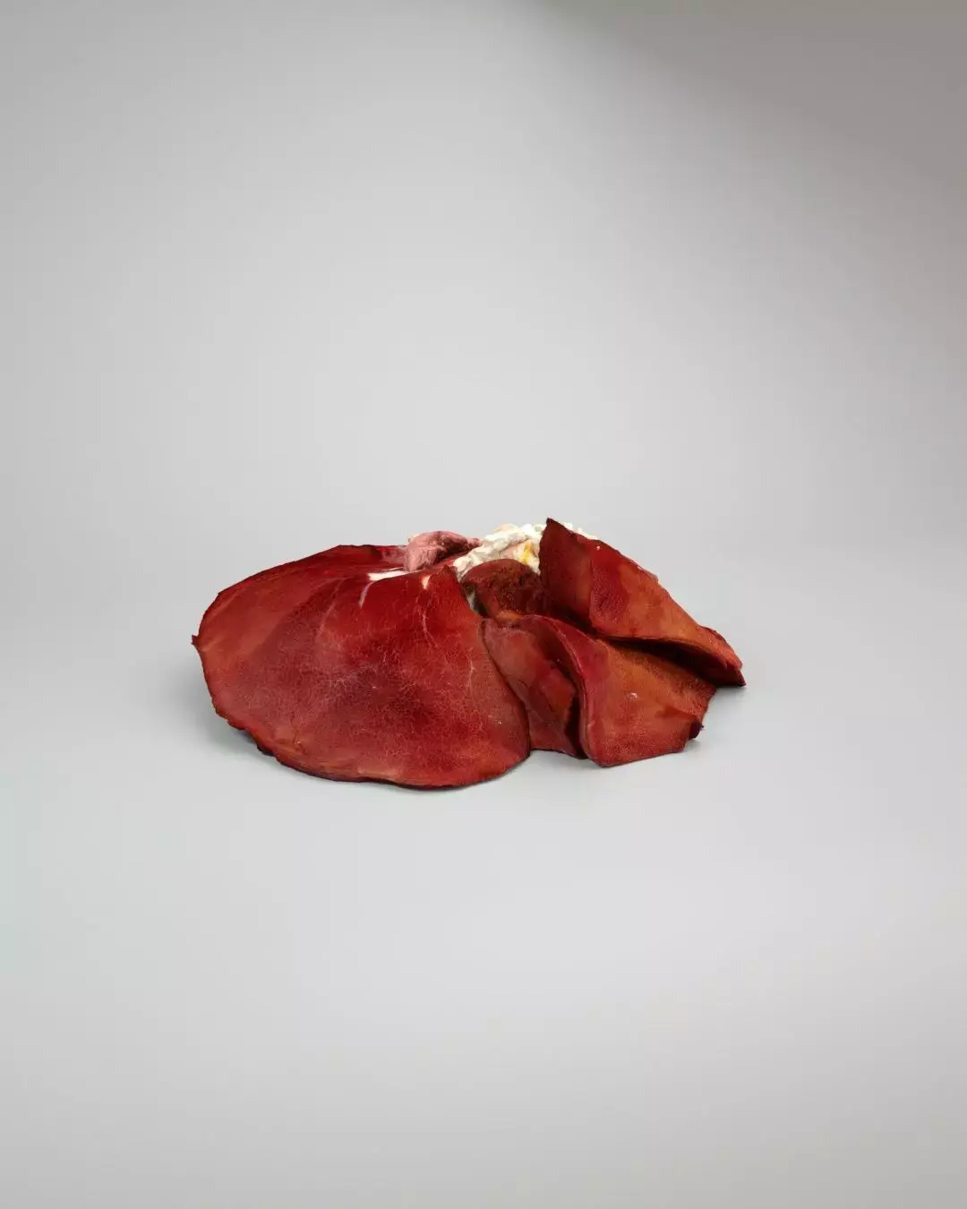 Raw Pig Liver Low-poly 3D model