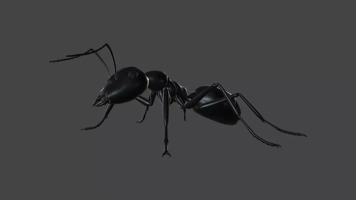 ANTS-001 Rigged Black Ant Low-poly 3D model