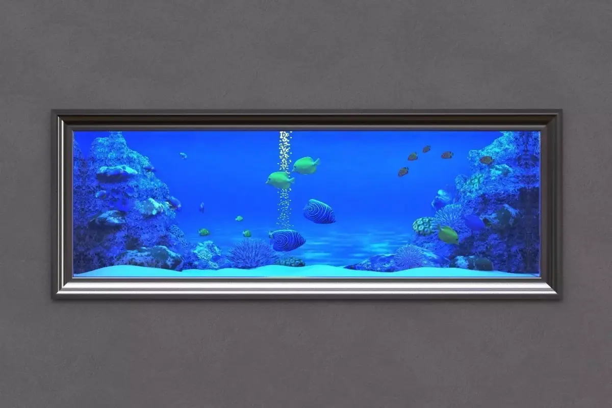 aquarium in frame 3D model
