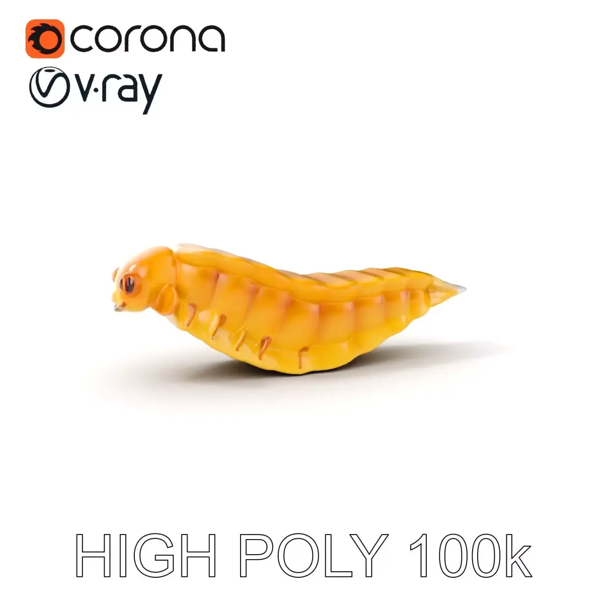 Insect Larva Model Pack for D Applications Low-poly 3D model