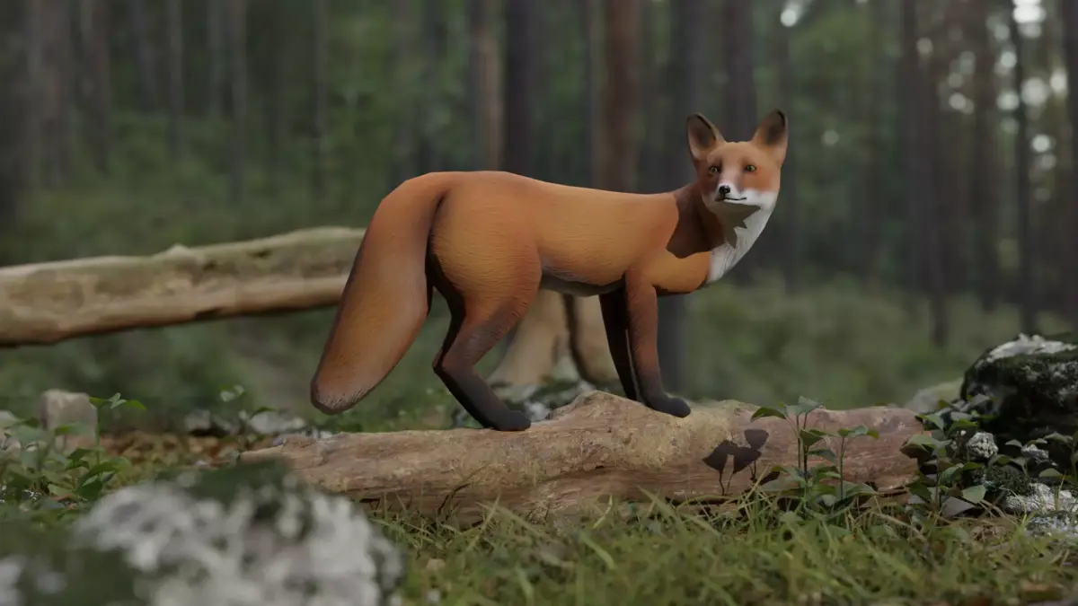 Fox LowPoly Low-poly 3D model