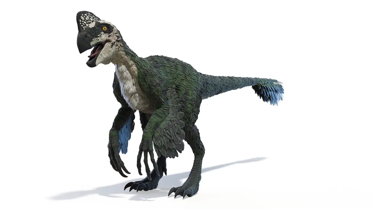 Oviraptor Static 3D model
