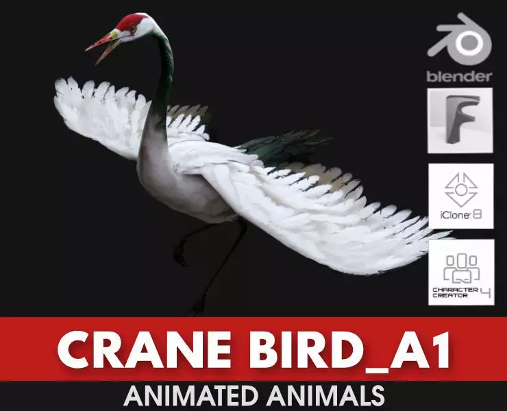 Crane Bird A1 3D model
