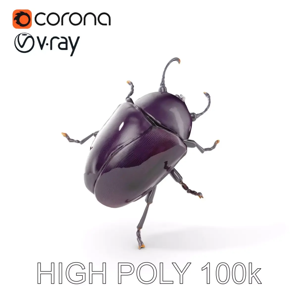 Iridescent Beetle D Model Pack with High Detail Low-poly 3D model