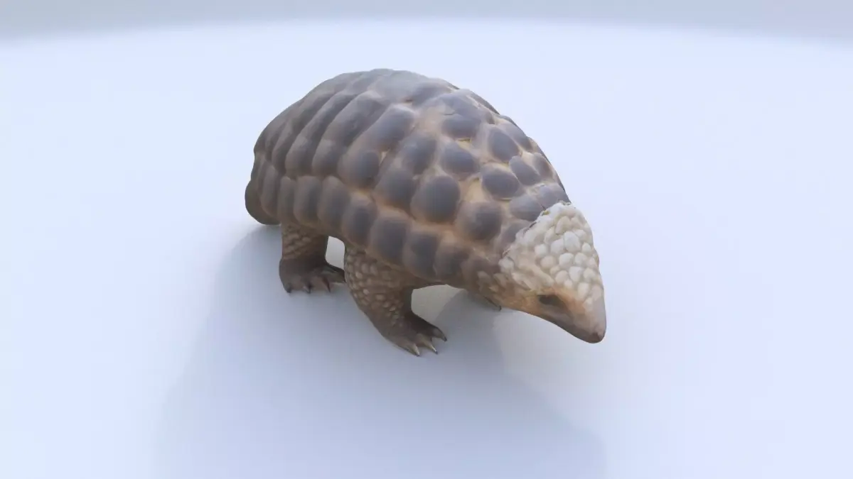 Pangolin 3D model