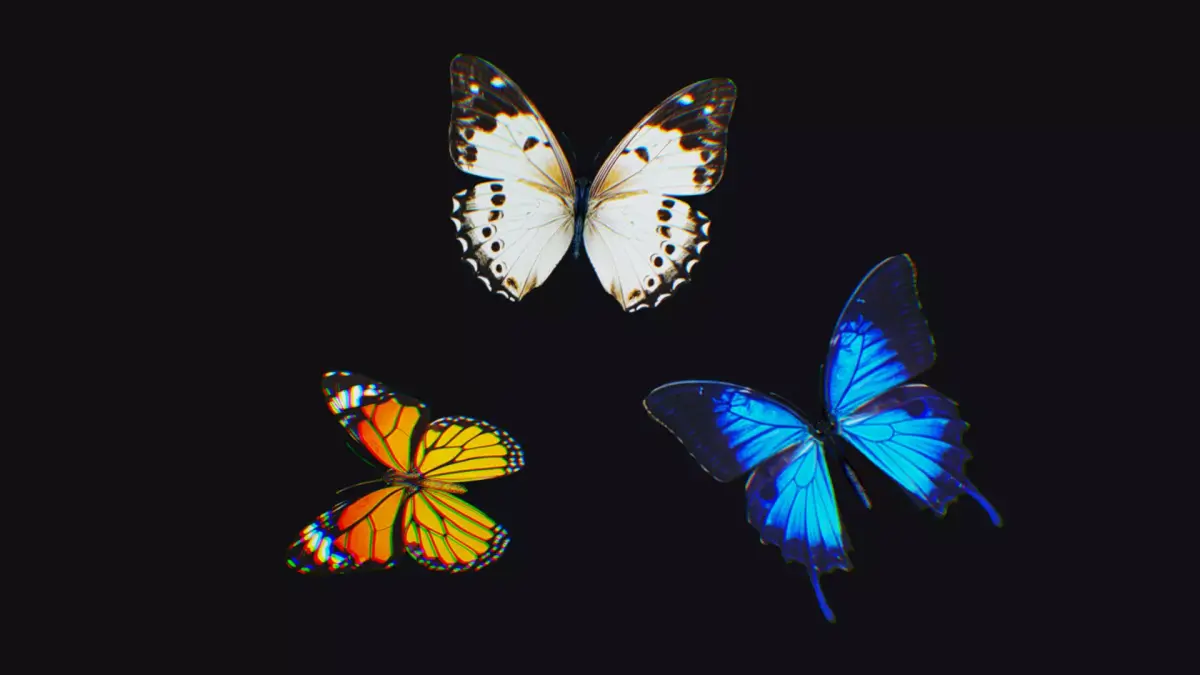 Butterfly Insect Flock Animated Fly Animal Wing Butterflies Low-poly 3D model