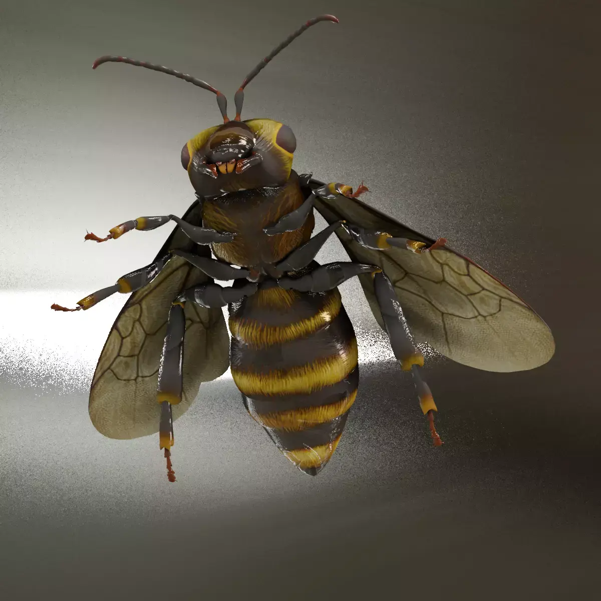 Detailed Animated Bee 3D Model Low-poly 3D model