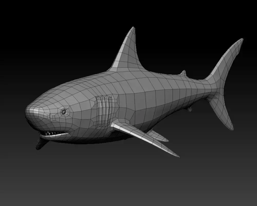 3D SHARK Low-poly 3D model purchase