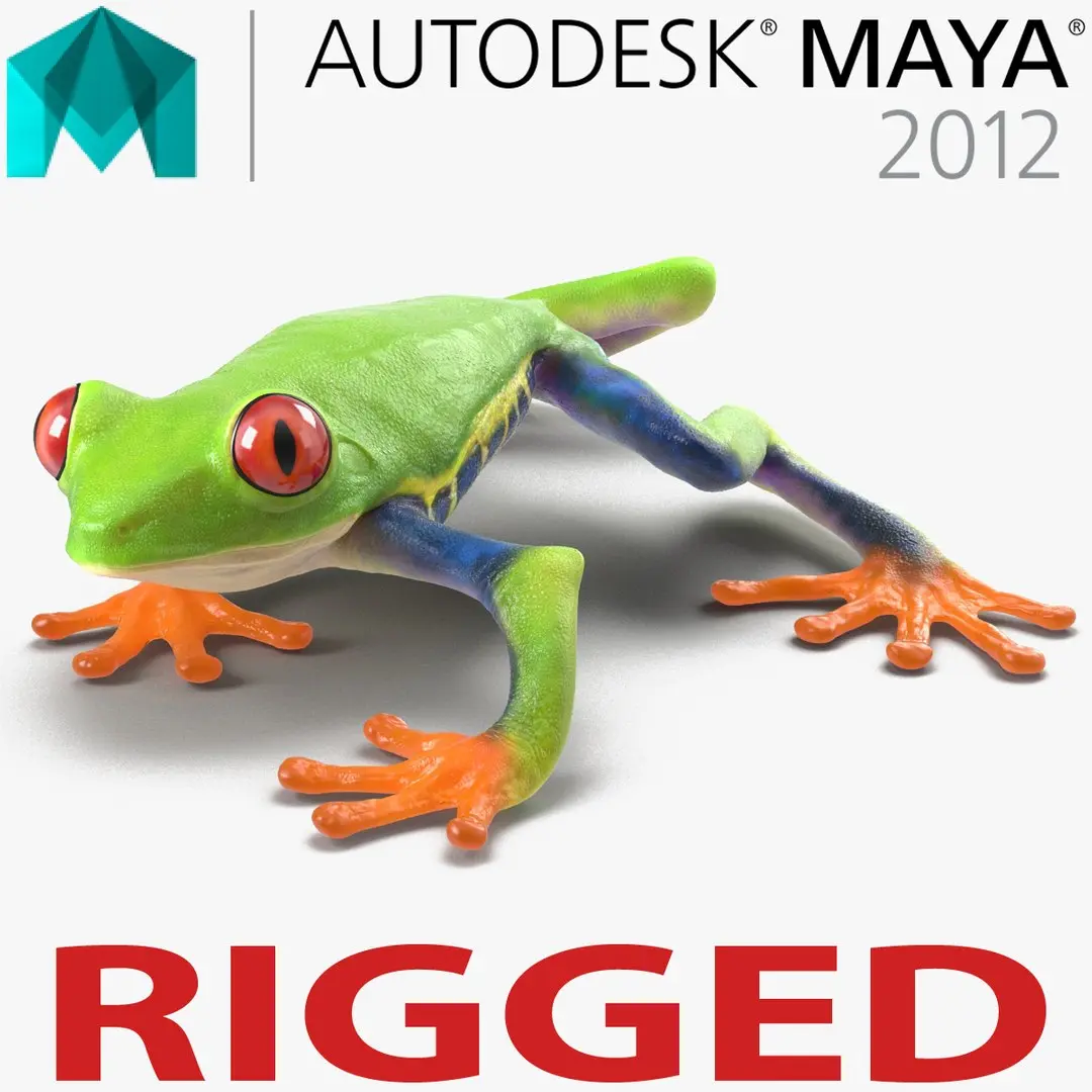 Red Eyed Tree Frog Rigged for Maya 3D model
