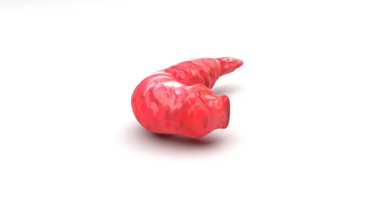 Red Maggot 3D model