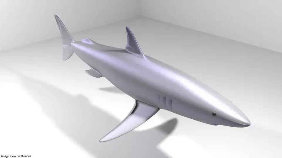 Shark - Mako 3D model