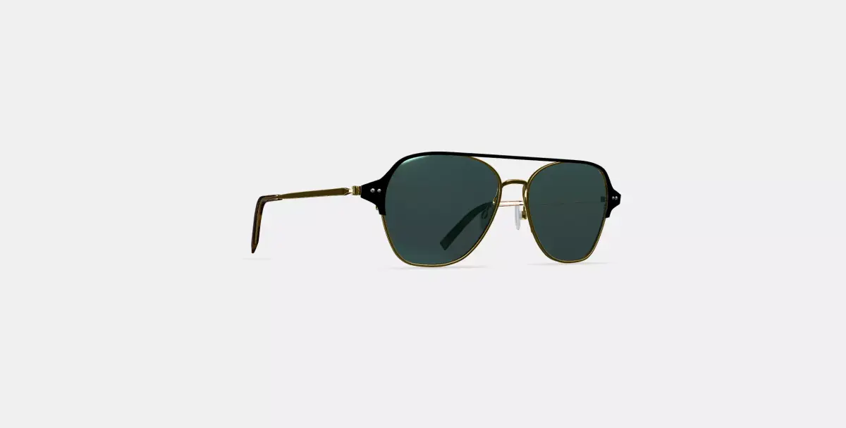 Corson Sunglasses in Jet Black with Polished Gold 3D model buy