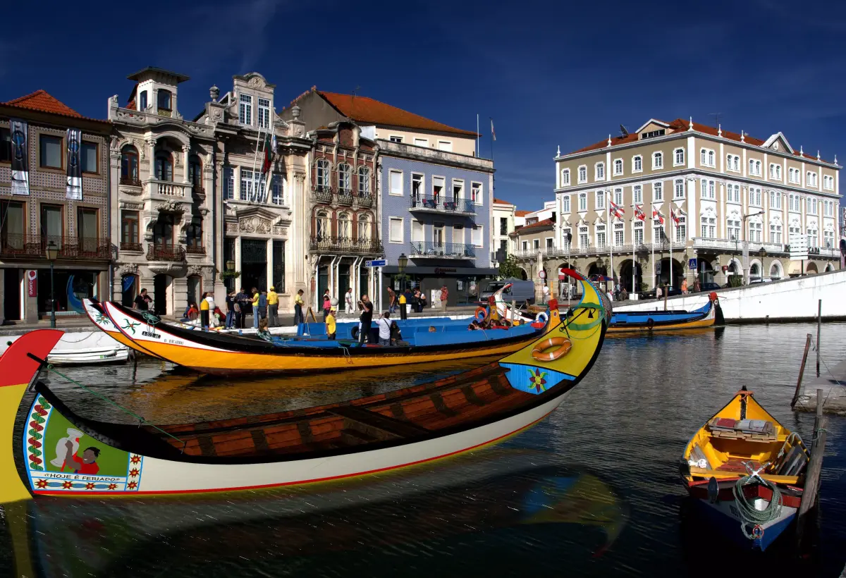 Moliceiro boat 3D model