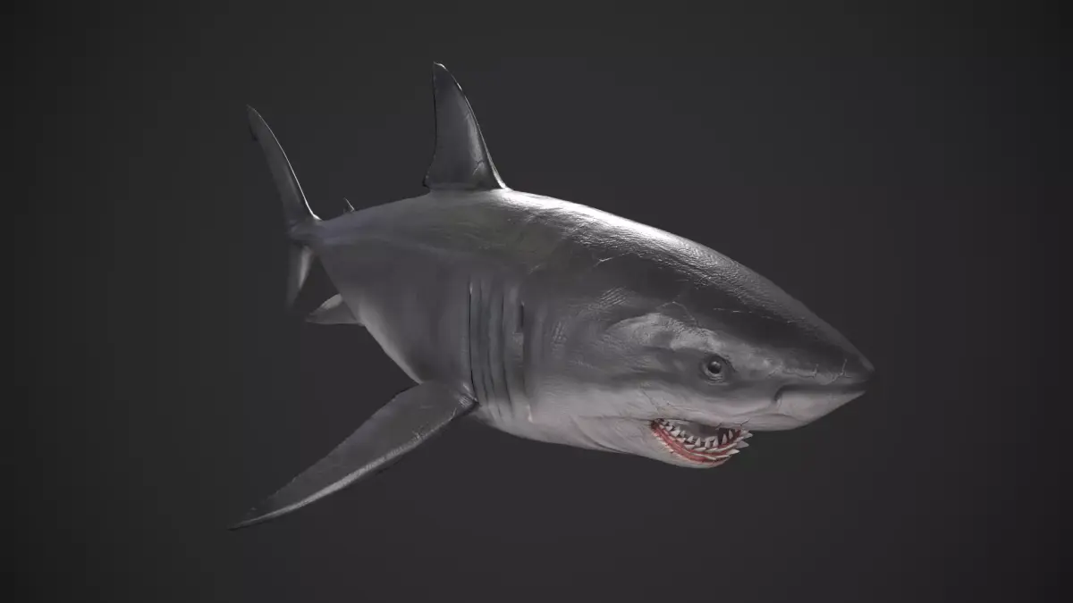 Great White Shark Low-poly 3D model 3