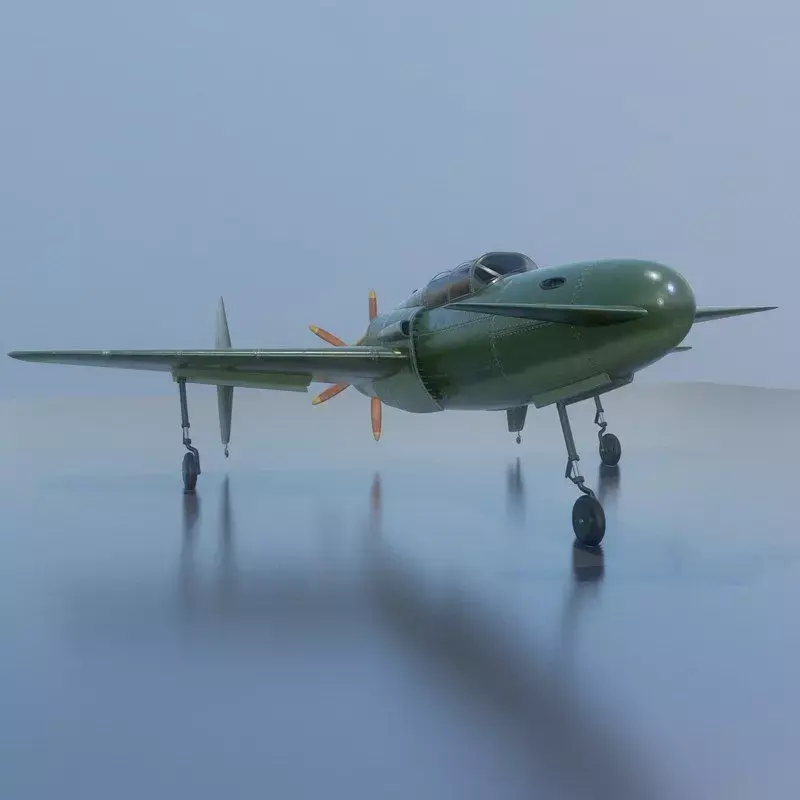 Canard Fighter Airplane 3D model