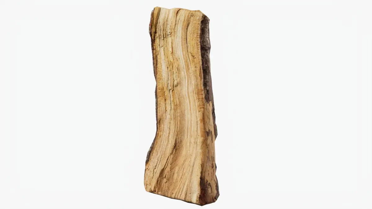 Scanned Tree Wood 01 3D model