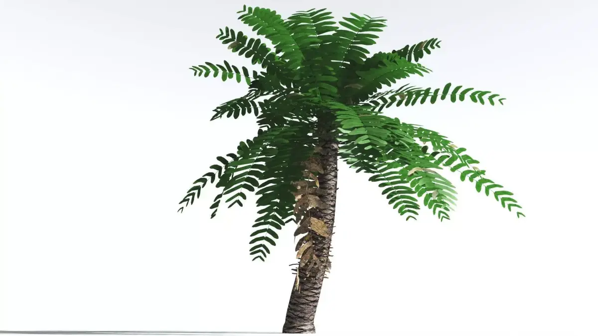 EVERYPlant Pseudoctnis Cycad LowPoly 3 --12 Models-- Low-poly 3D model
