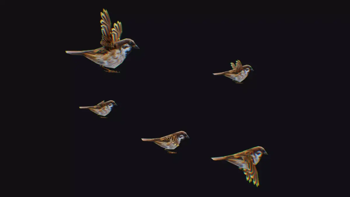 Realistic Sparrow Flock Animated Bird Swarm Shoal Birds Low-poly 3D model
