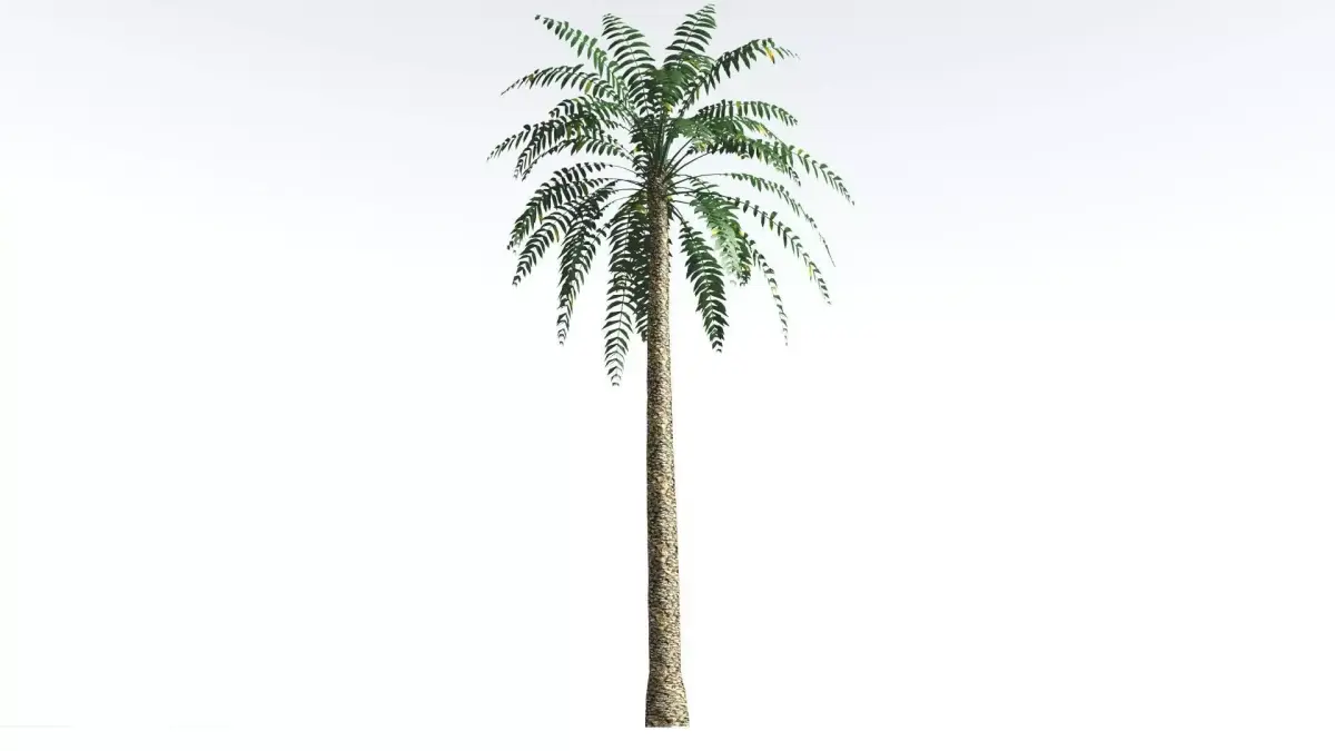 EVERYPlant Date Palm LowPoly 4 --16 Models-- Low-poly 3D model