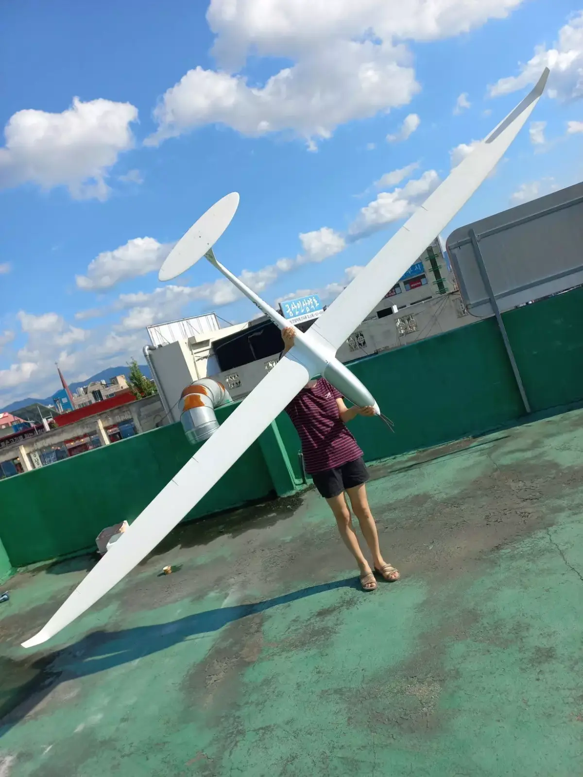 3D Printed RC Scale Sailplane DIANA-3 Wingspan 4m 3D print model