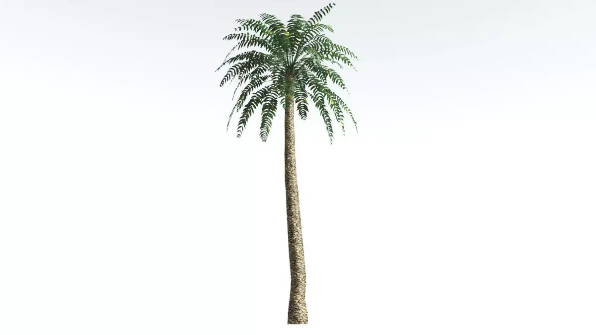 EVERYPlant Date Palm LowPoly 1 --16 Models-- Low-poly 3D model