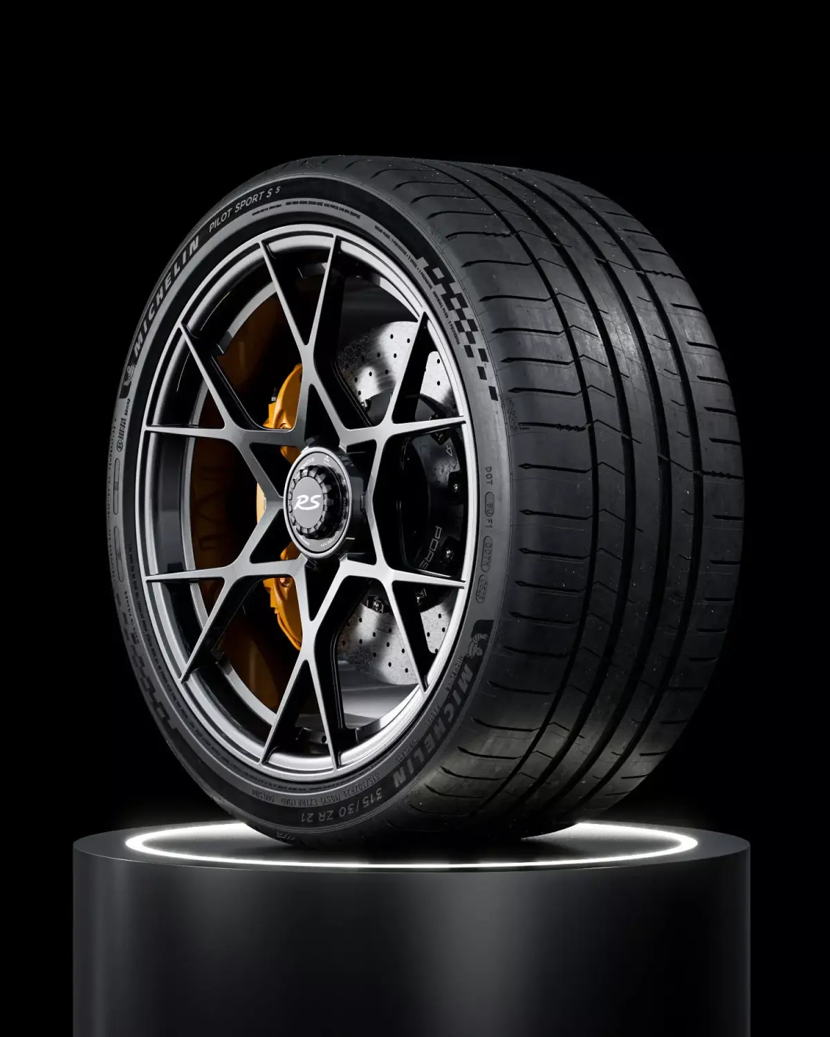 Michelin Pilot Sport S 5 315 30 ZR21 105Y 3D model