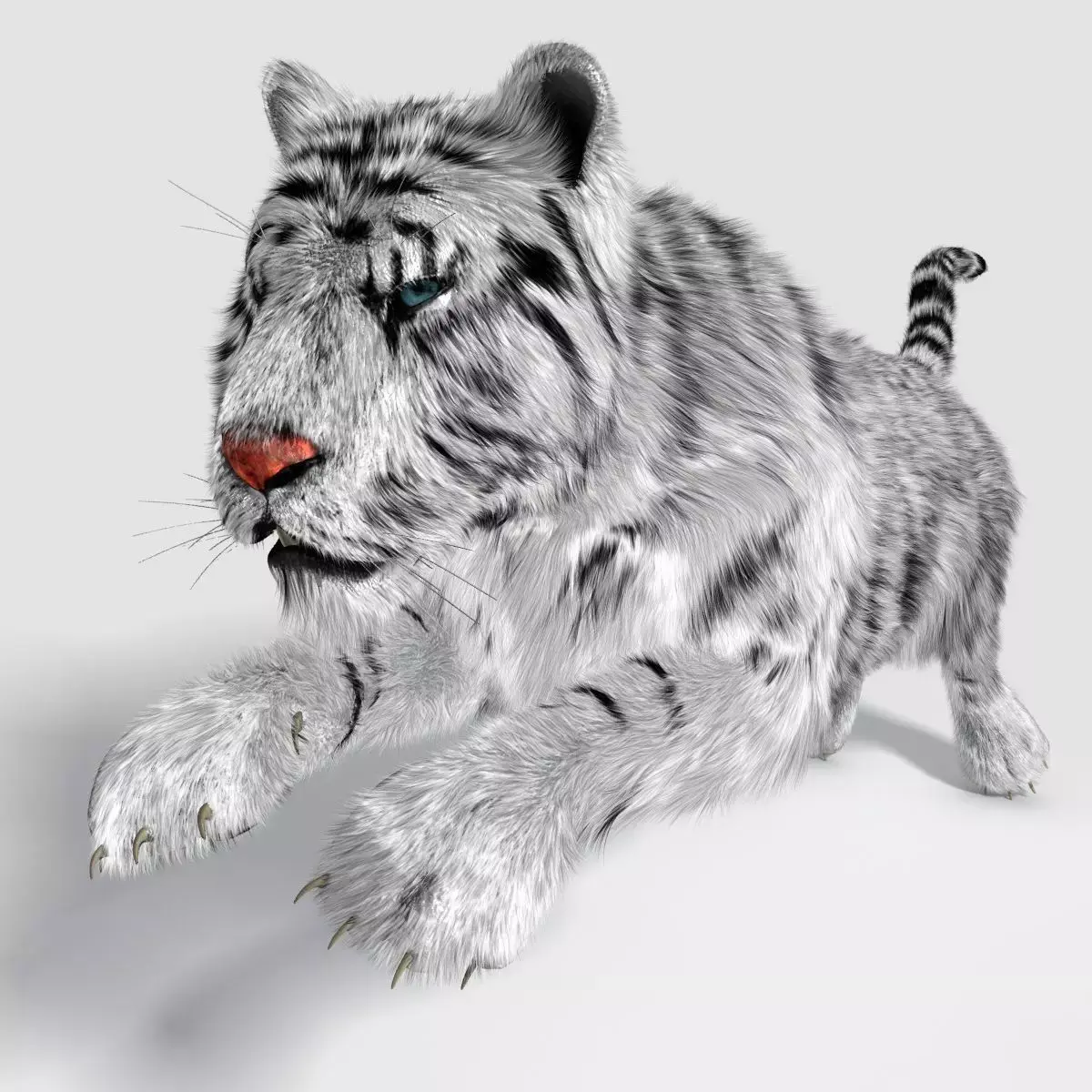 Siberian White Tiger v1 Low-poly 3D model