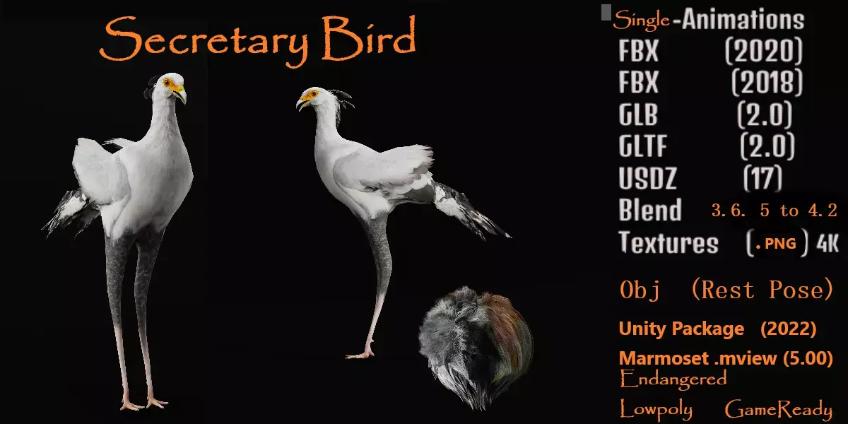 Secretary Bird Free 3D model purchase
