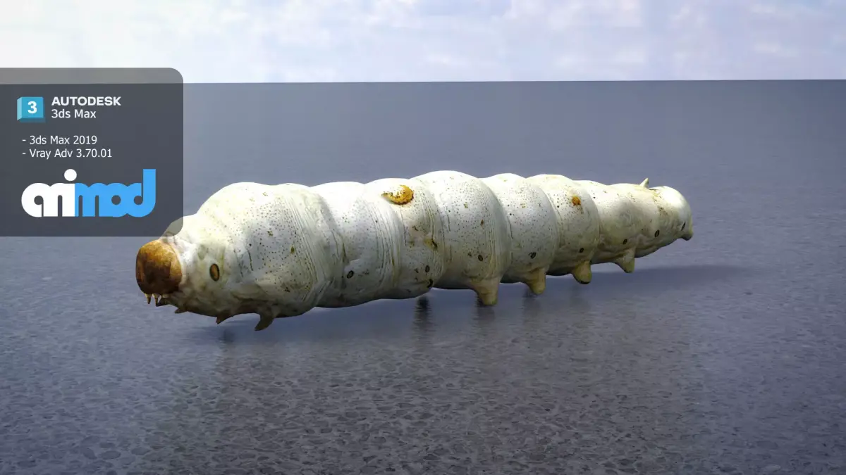 Silkworm 3D model purchase