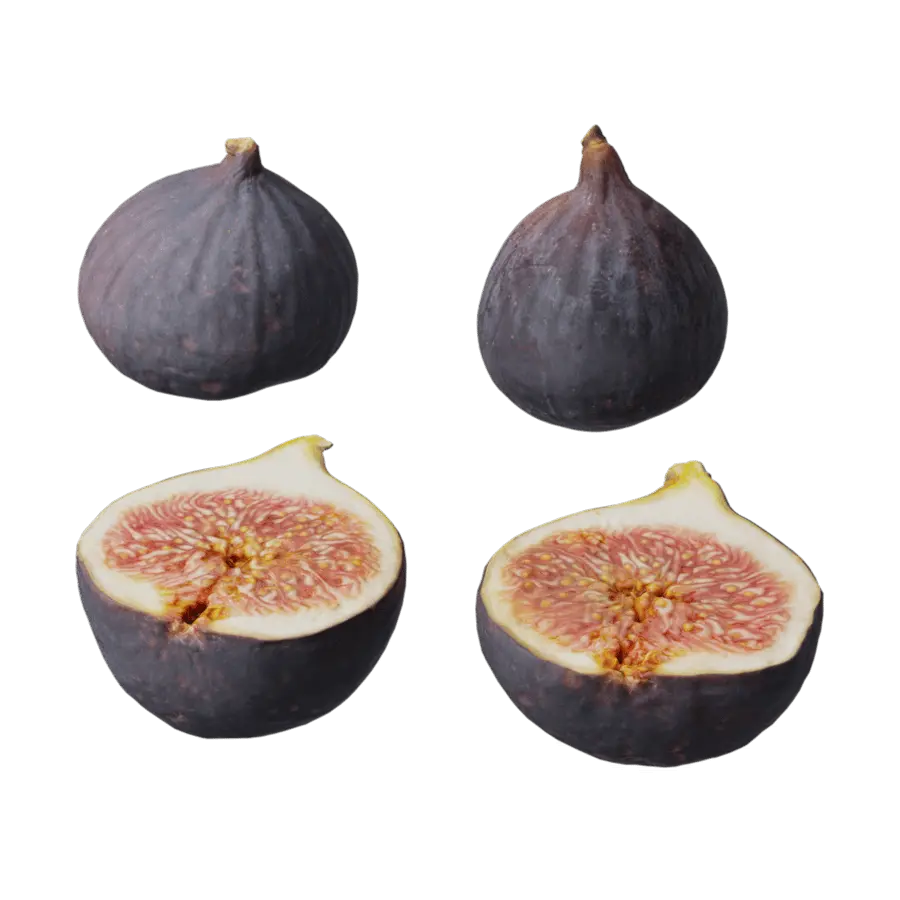  Fig Fruit Food Model  purchase