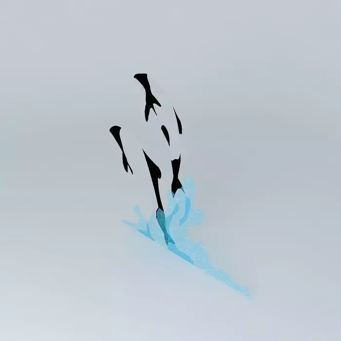 Commersons Dolphins 3D model