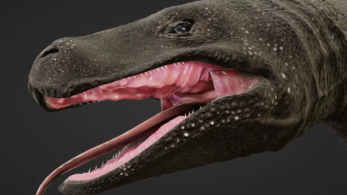 Komodo Dragon Low-poly 3D model purchase