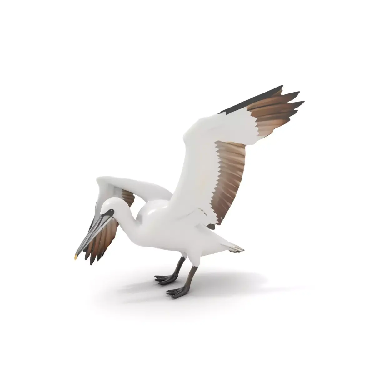 Elegant Seagull Model Pack Low-poly 3D model
