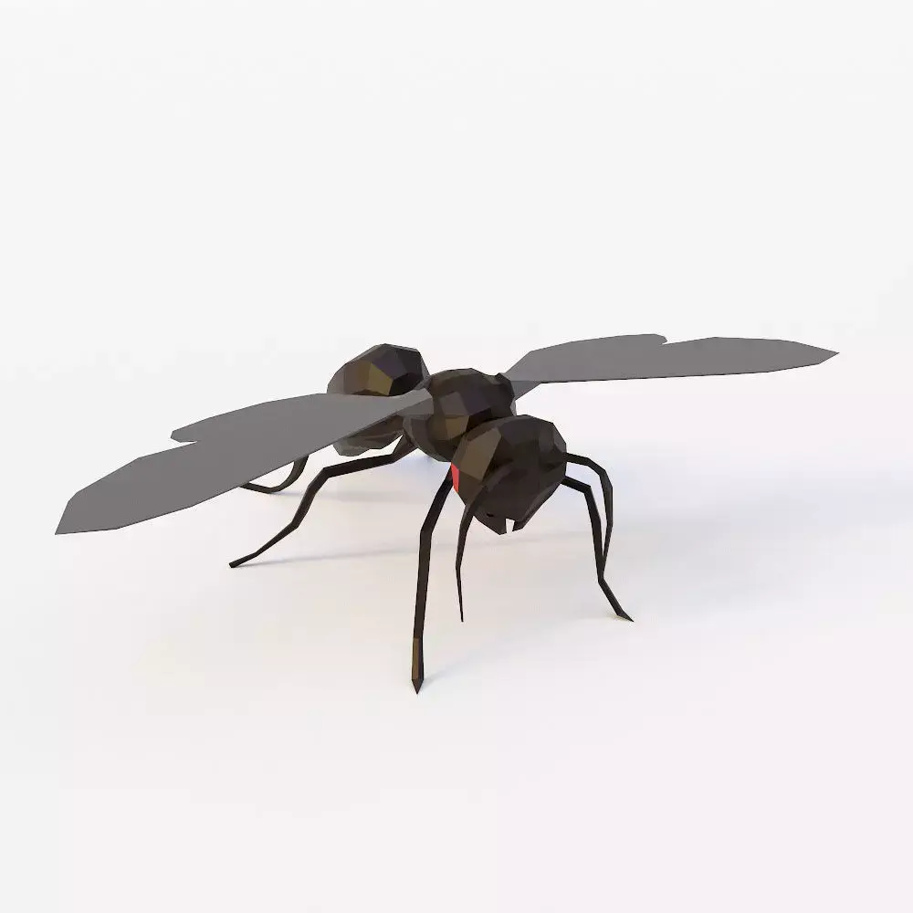 Flying ant 3d model  Low-poly 3D model