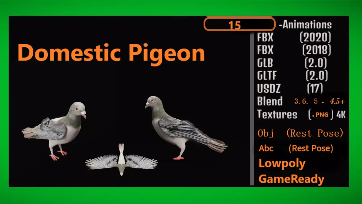Pigeon Low-poly 3D model 2