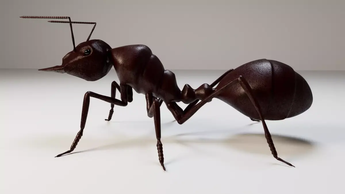 Ant 3d 3D model