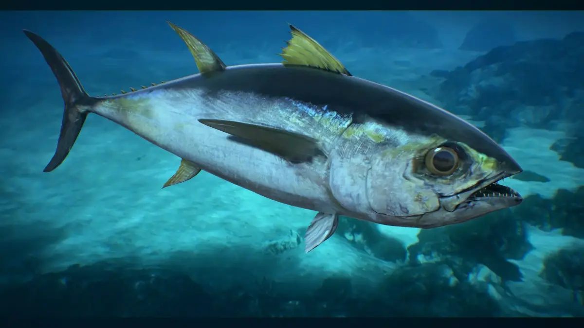 Tuna Fish Low-poly 3D model buy