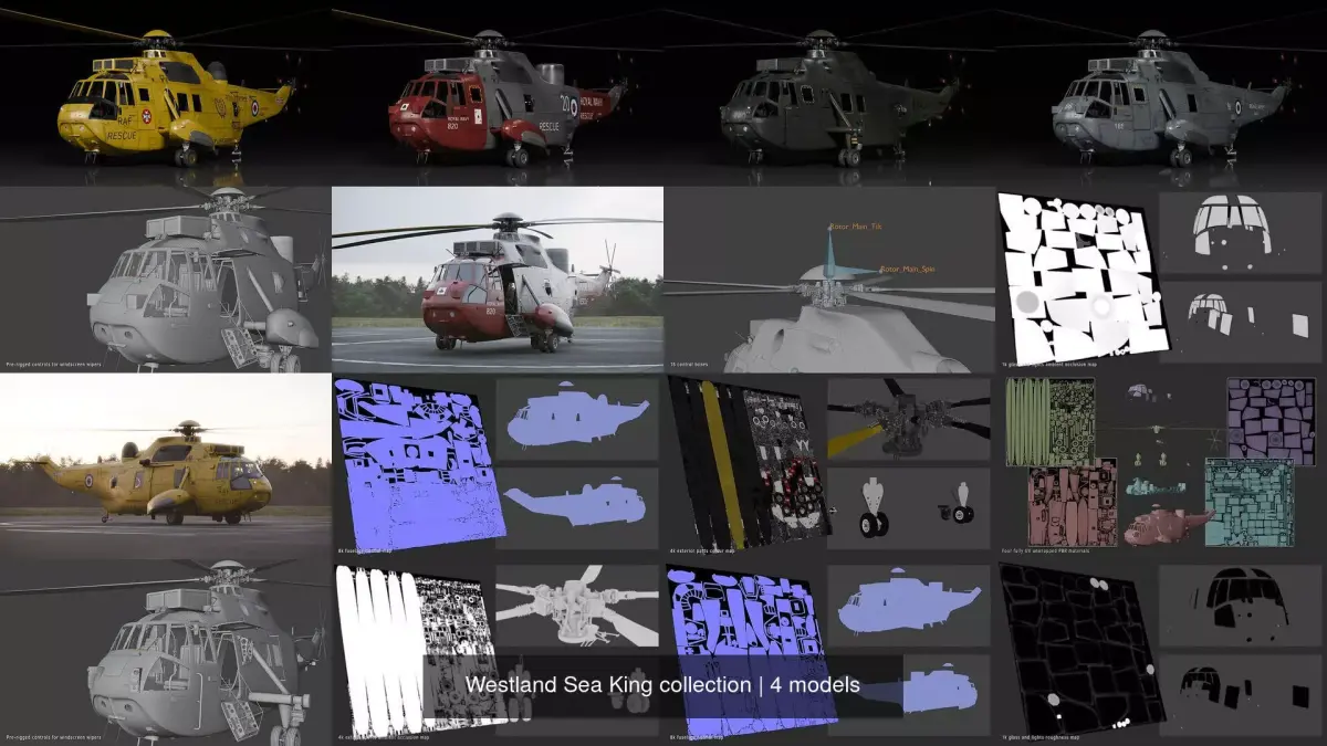 Westland Sea King collection 