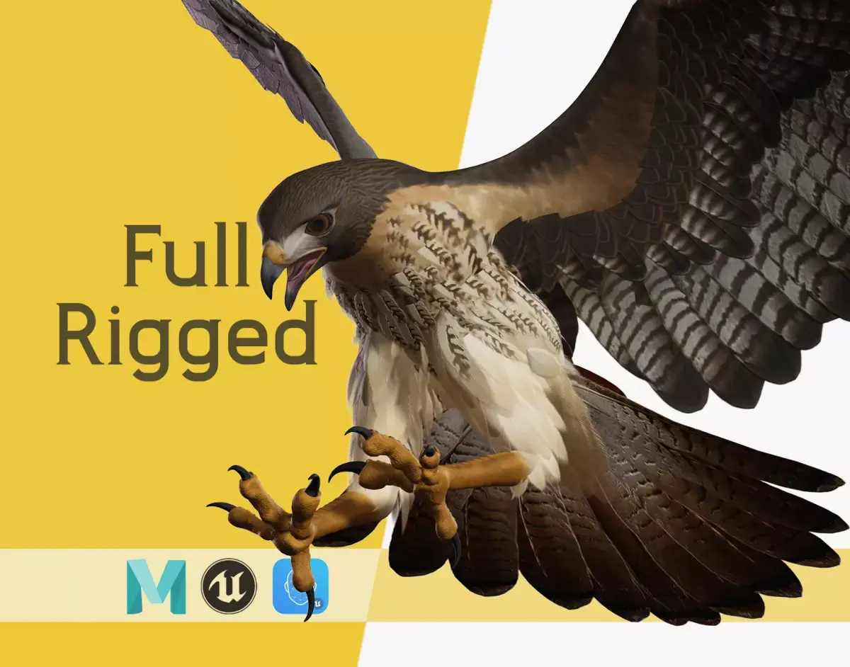 Stunning 3D Model of a Majestic Falcon Wildlife Enthusiasts Low-poly 3D model