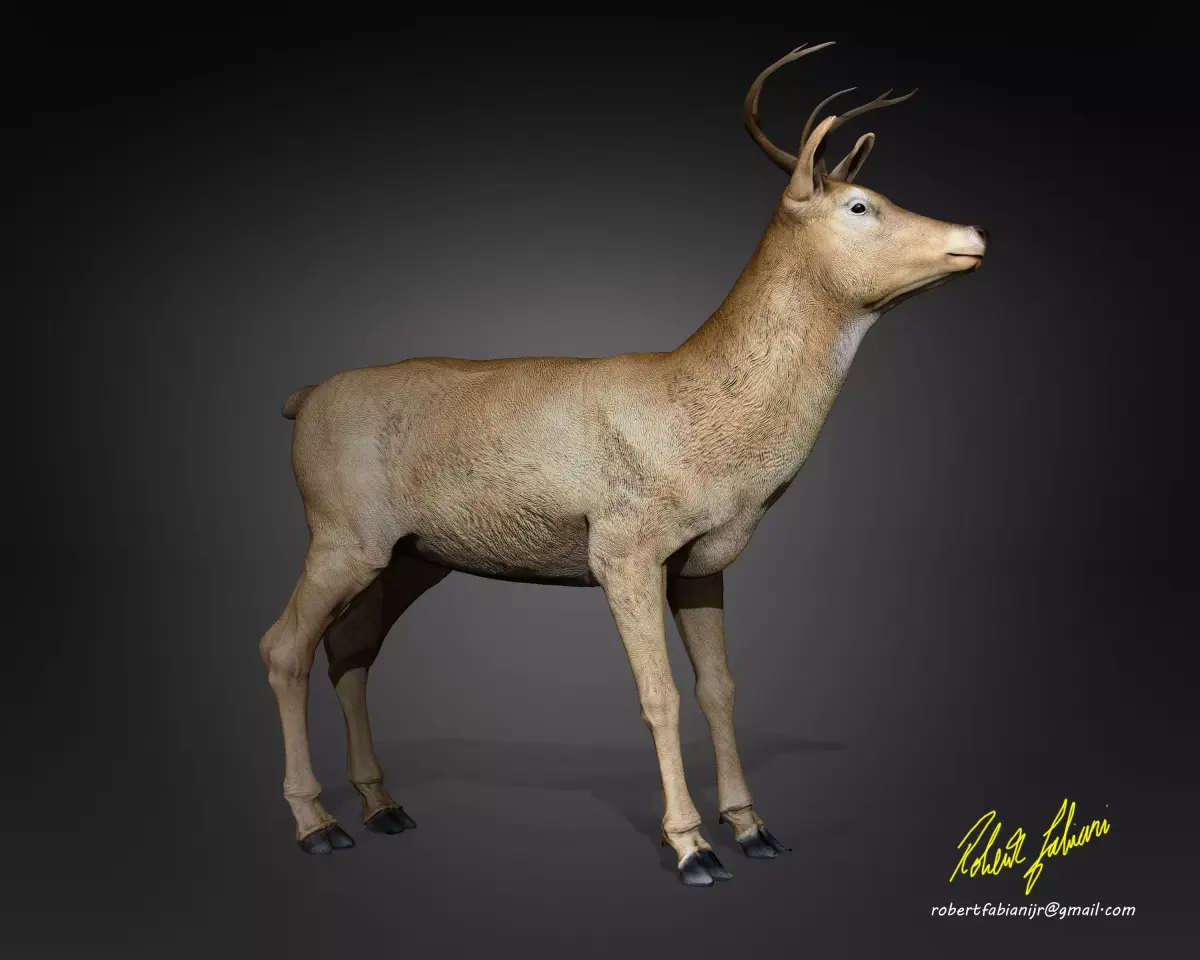 A Deer - person Low-poly 3D model