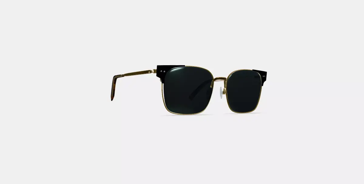 Ramona Sunglasses in Jet Black with Polished Gold 3D model
