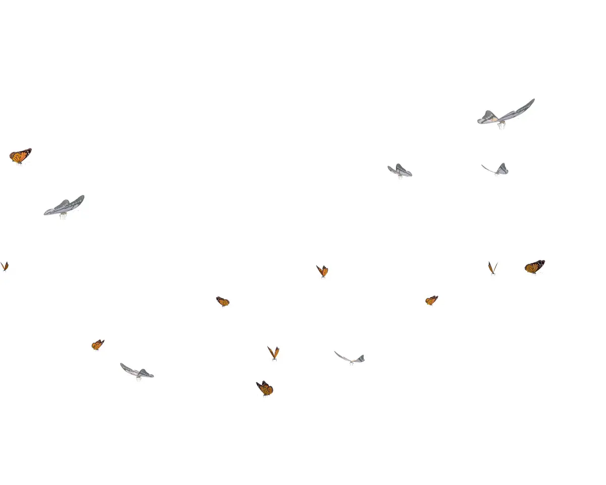Butterflies  Animated Low-poly 3D model