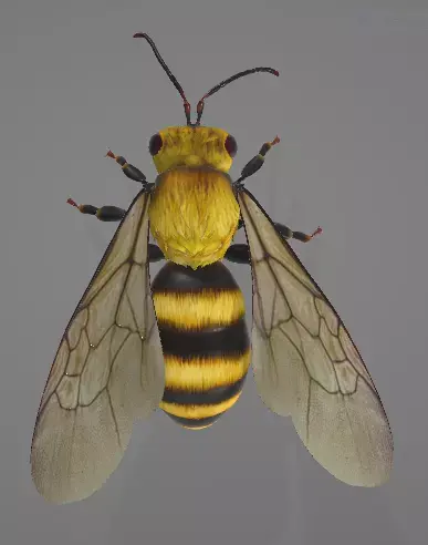 simple bee 3D print model