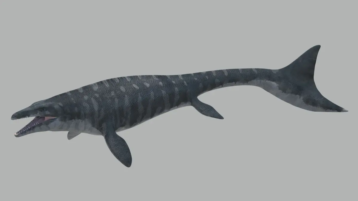 Mosasaurus Hoffmanni Historically Accurate 3D model