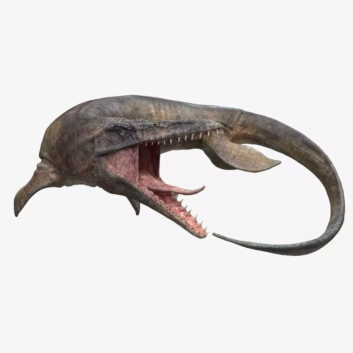 Dinosaur Tylosaurus - Sea Monster Series 3 Low-poly 3D model